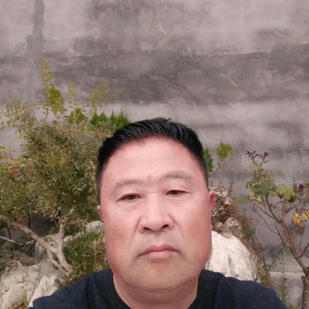 崮山军哥百年黄荆庭院景观树