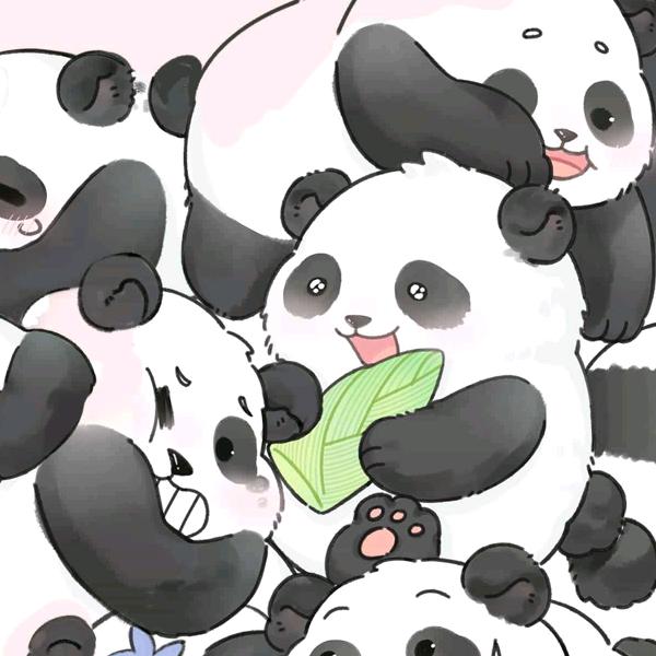 宝妈