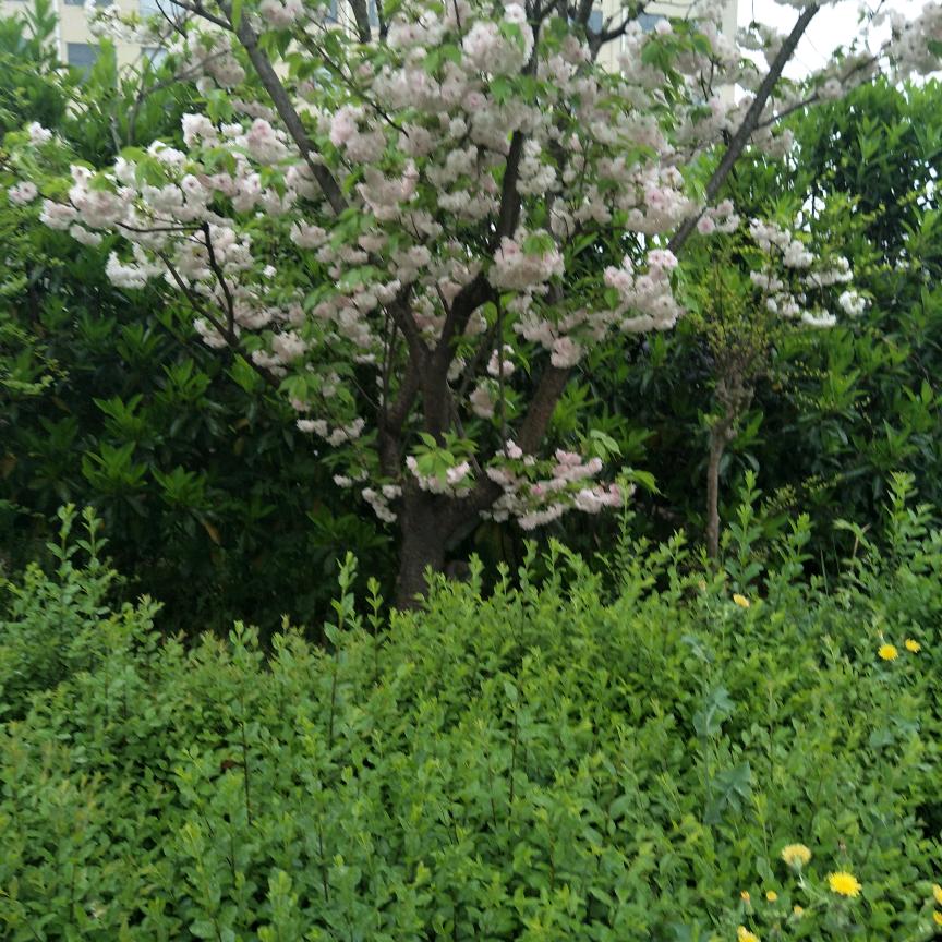 改变不了别人，那就改变自己