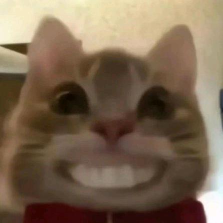 可达鸭ā
