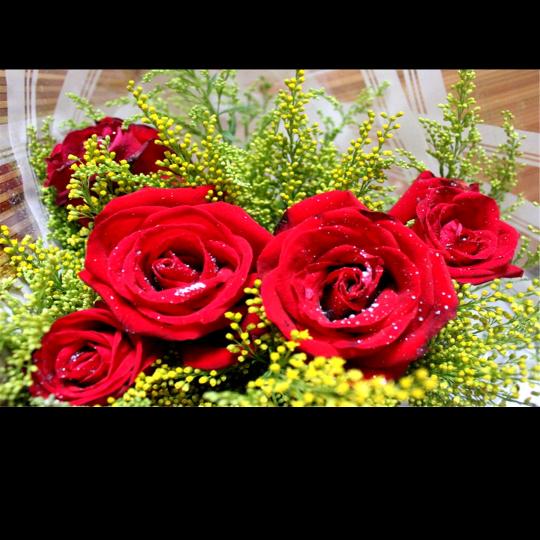 晴空【拒私聊】