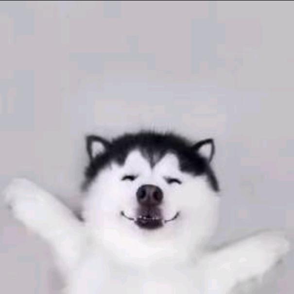 顺顺(˵¯͒〰¯͒˵)