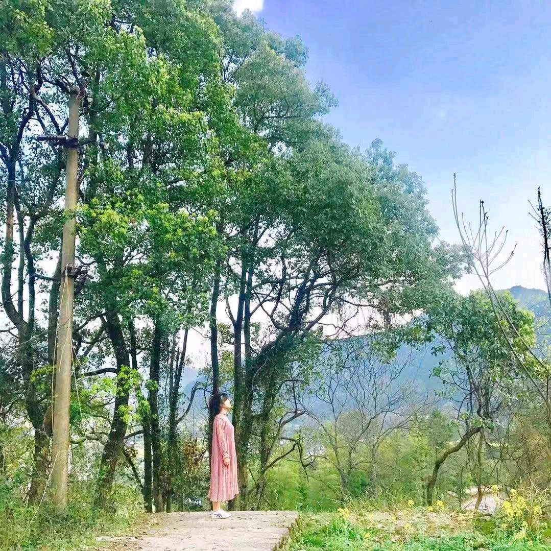 梦带你去旅行