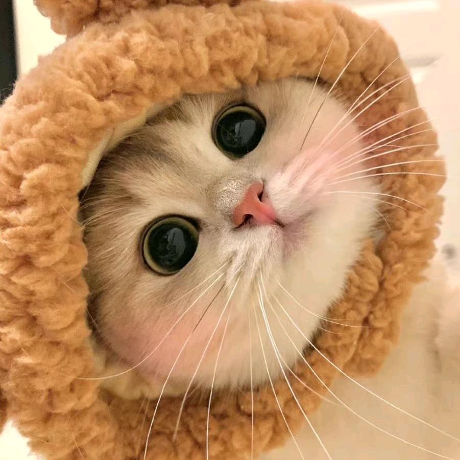 LU lu~