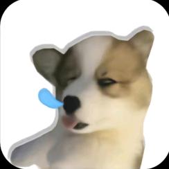 土逗皮