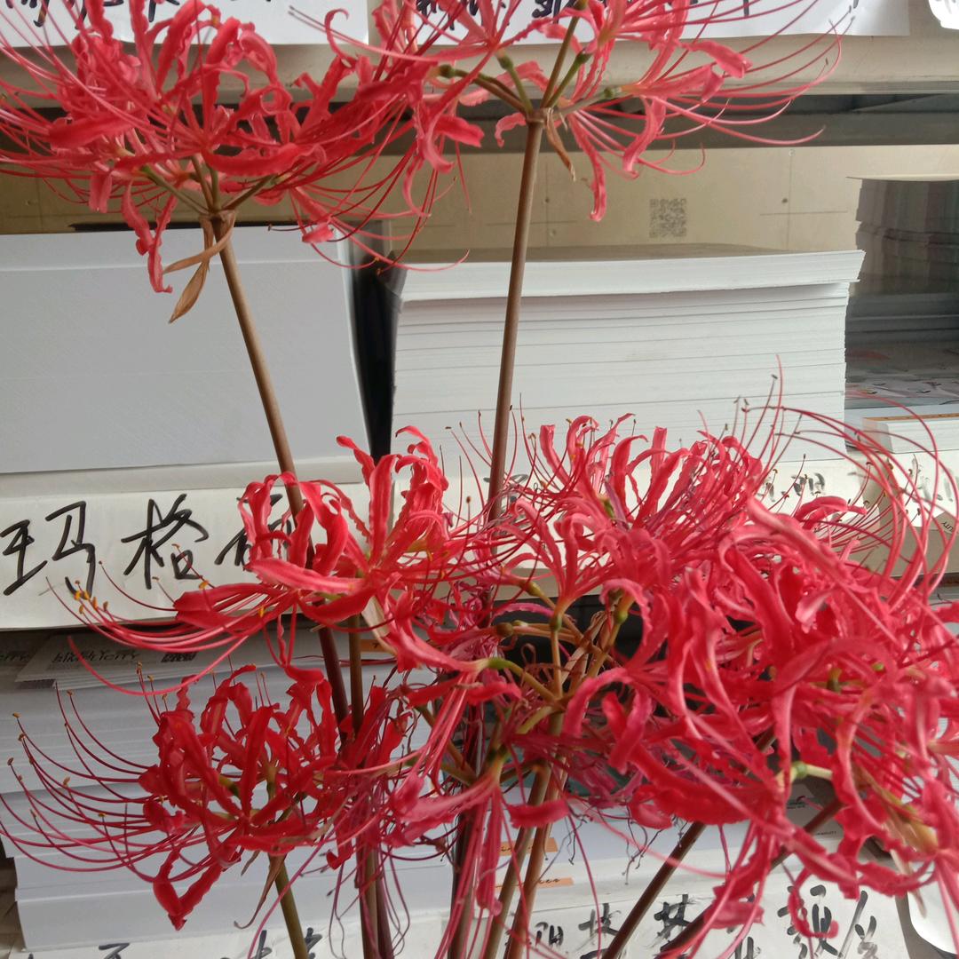 用户789649921