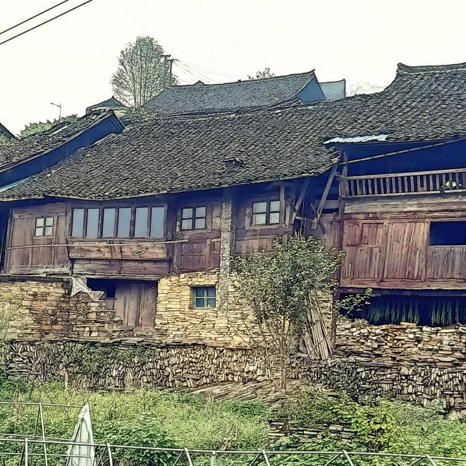 蝶金沙送