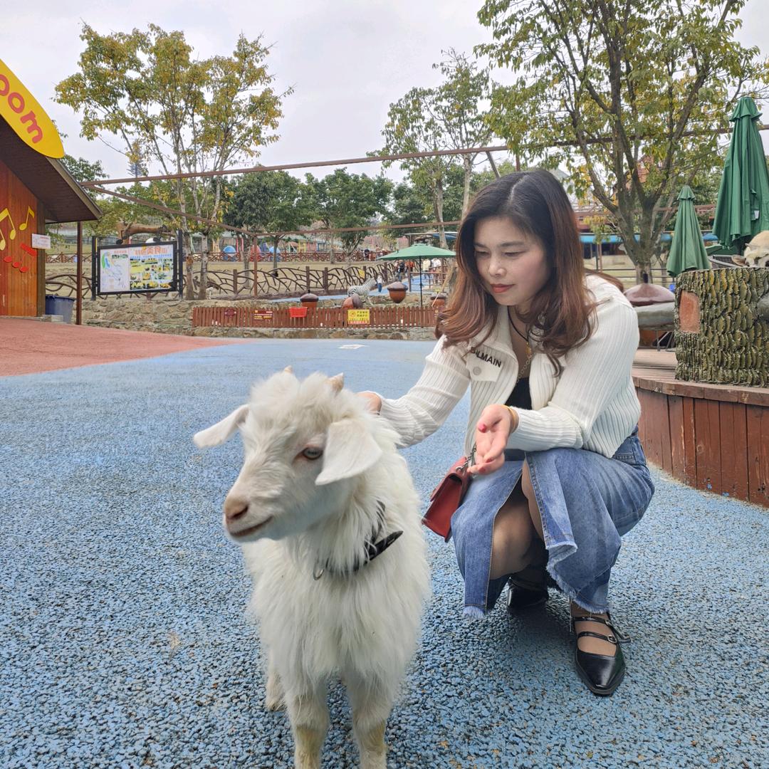 零零总总
