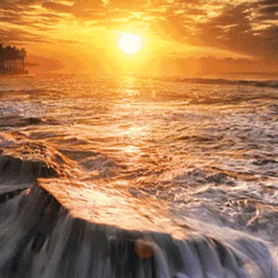 ✨隔壁✨老头✨