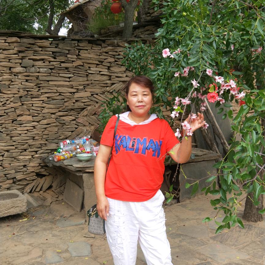 苹果