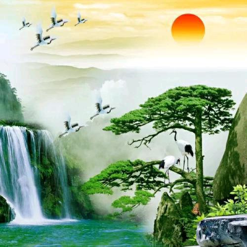 HELLO︎★宋先生