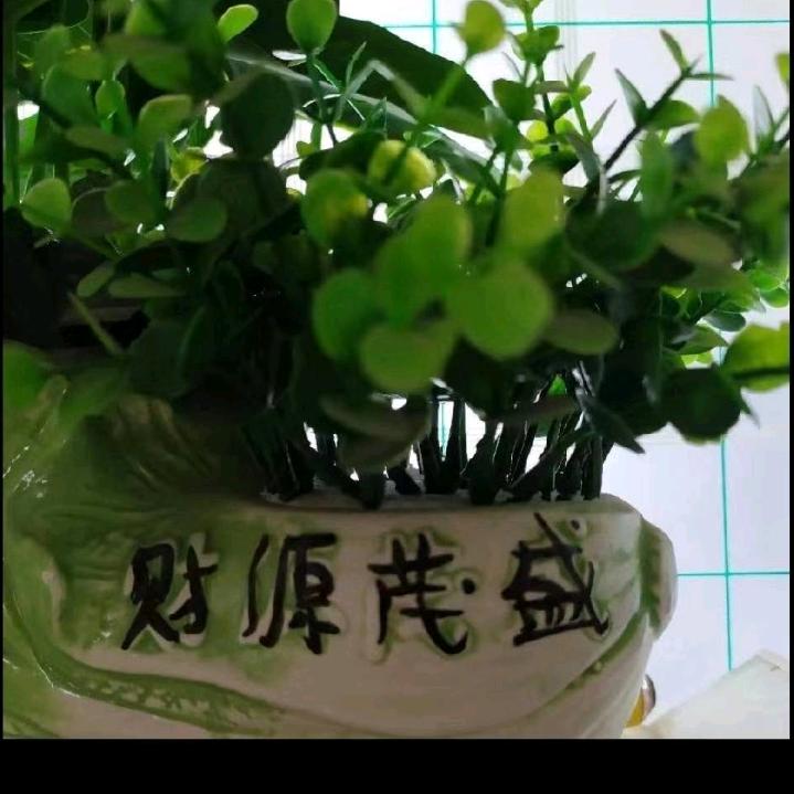 枫叶🍁🍁
