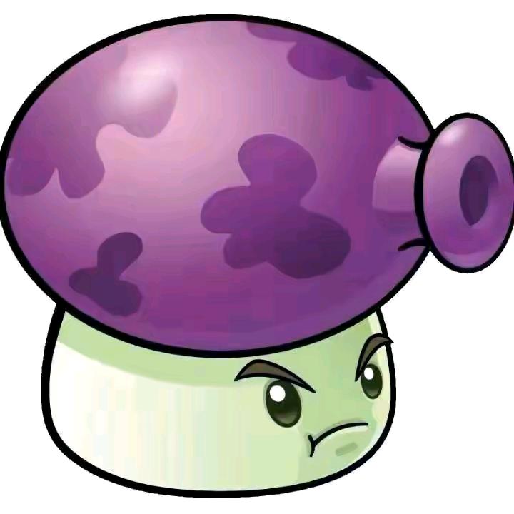 🟣🟣🟣🟣🟣🟣🟣🟣