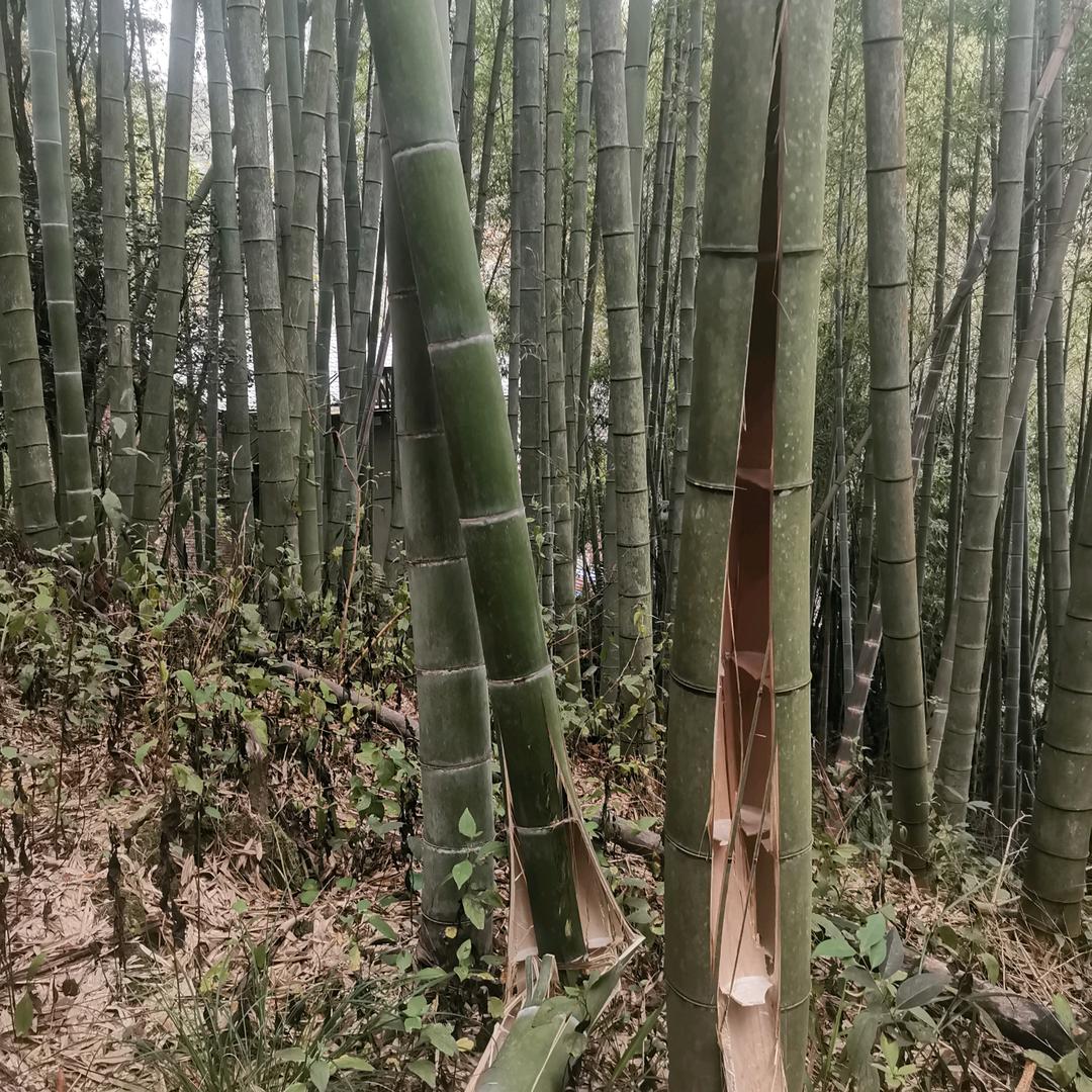 好冷