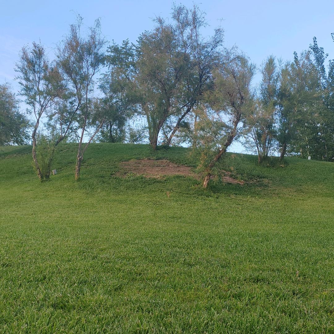 一杯浊酒笑风尘