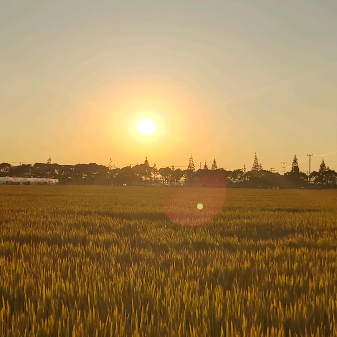 哎哟不错（东字）