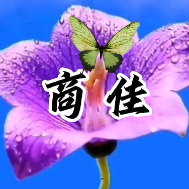 商佳🚗