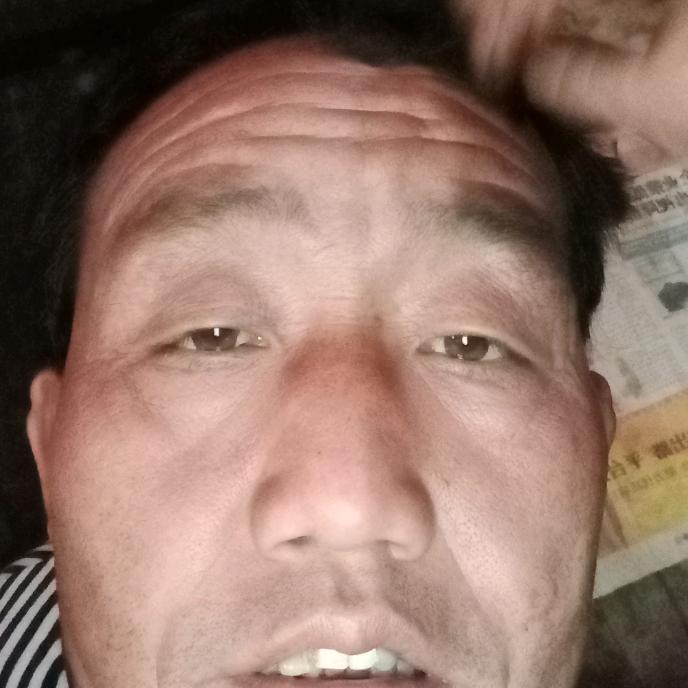 张选平