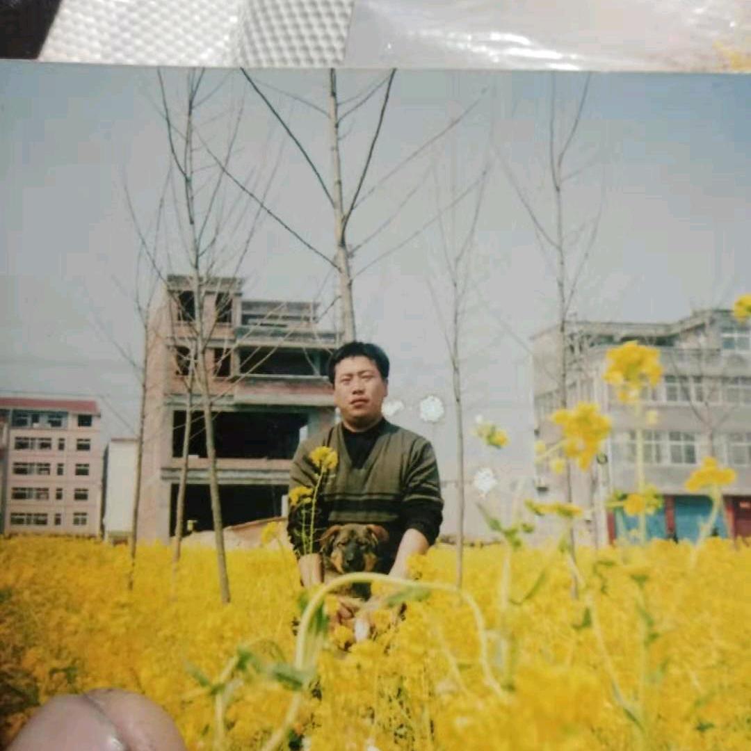 路路车行，修电动车找我gogo