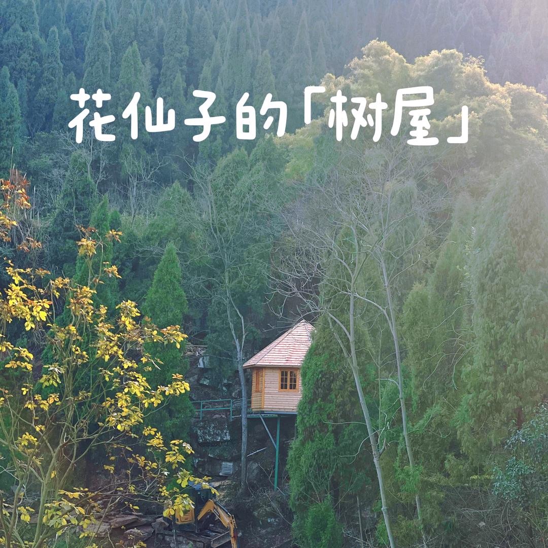 南充市嘉陵区花仙子的花园