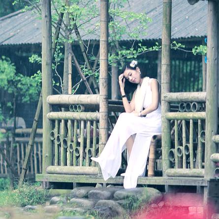 梧桐听雨