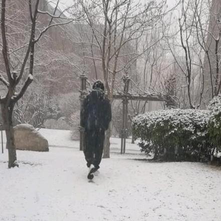 风雪夜归人✔