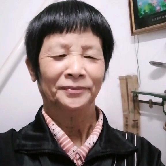 春天的梅