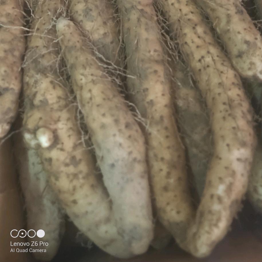 尚晓食潮汕特产