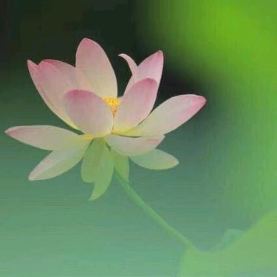 甲木姓名