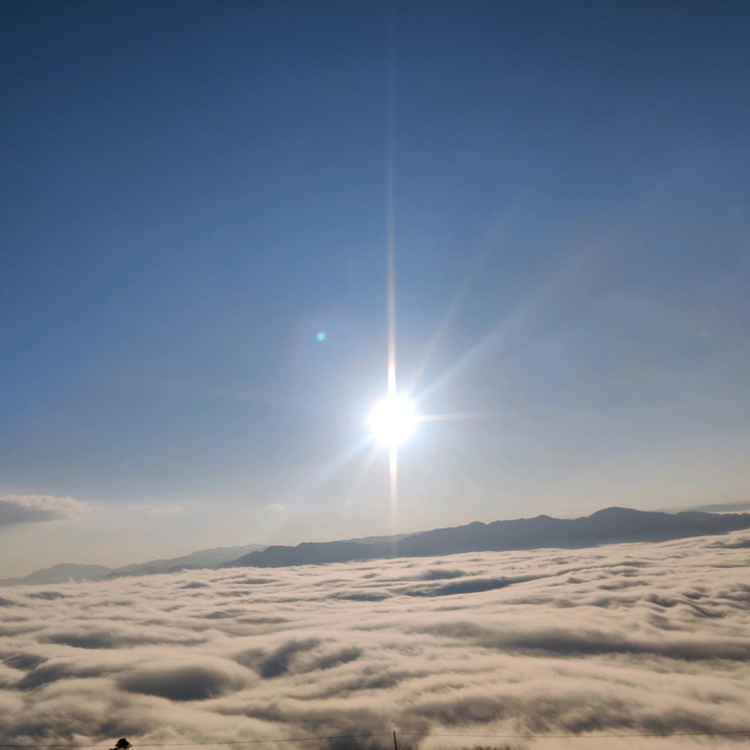 🥀₅²⁰💃杜入爱何¹ᶟ₁₄