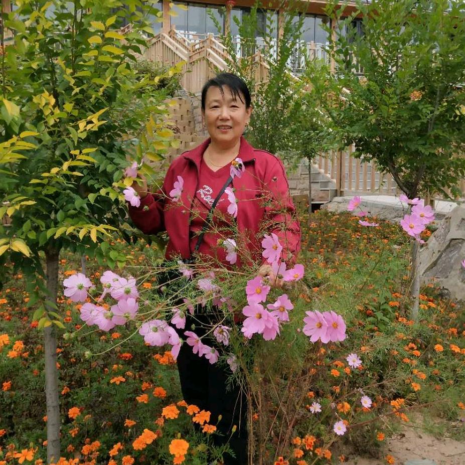 存花儿