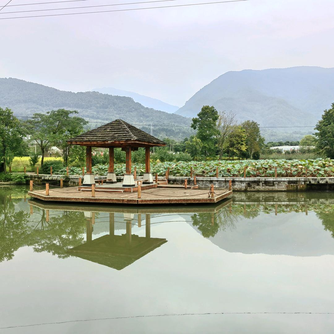 饶恕