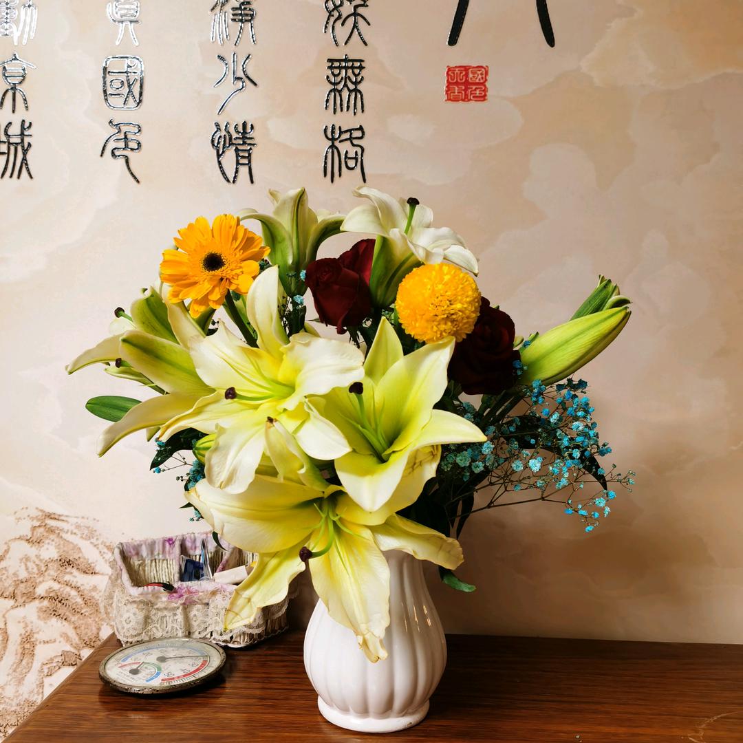 蓝梦飞儿
