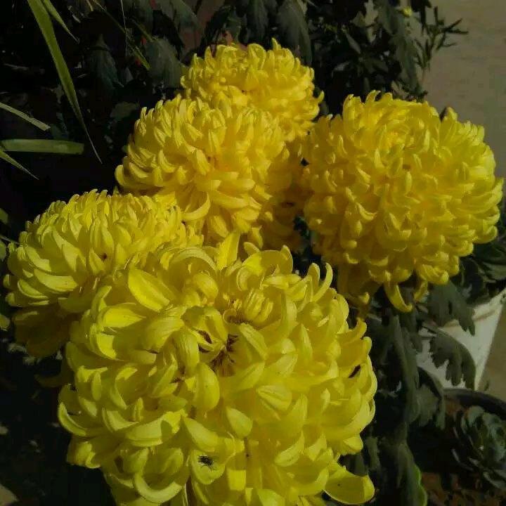 莫名