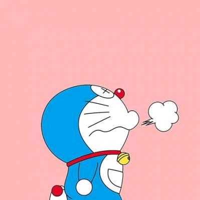 金杰猫百货