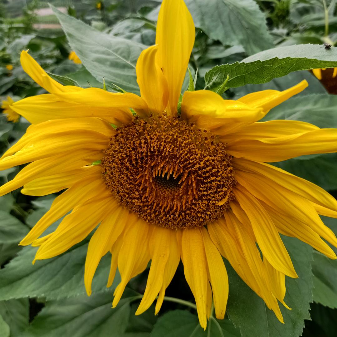 _(•̀ω•́ 」∠)_张~o(〃'▽'