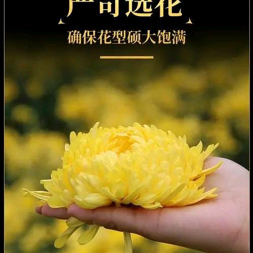 罗
