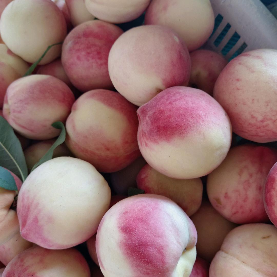 走自己的路让别人说去吧