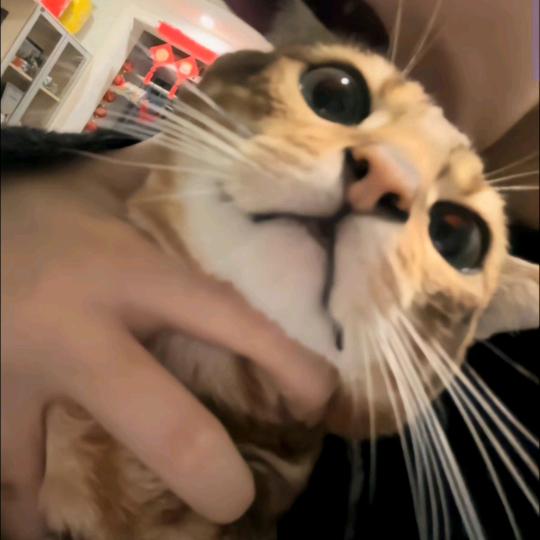ˇ11