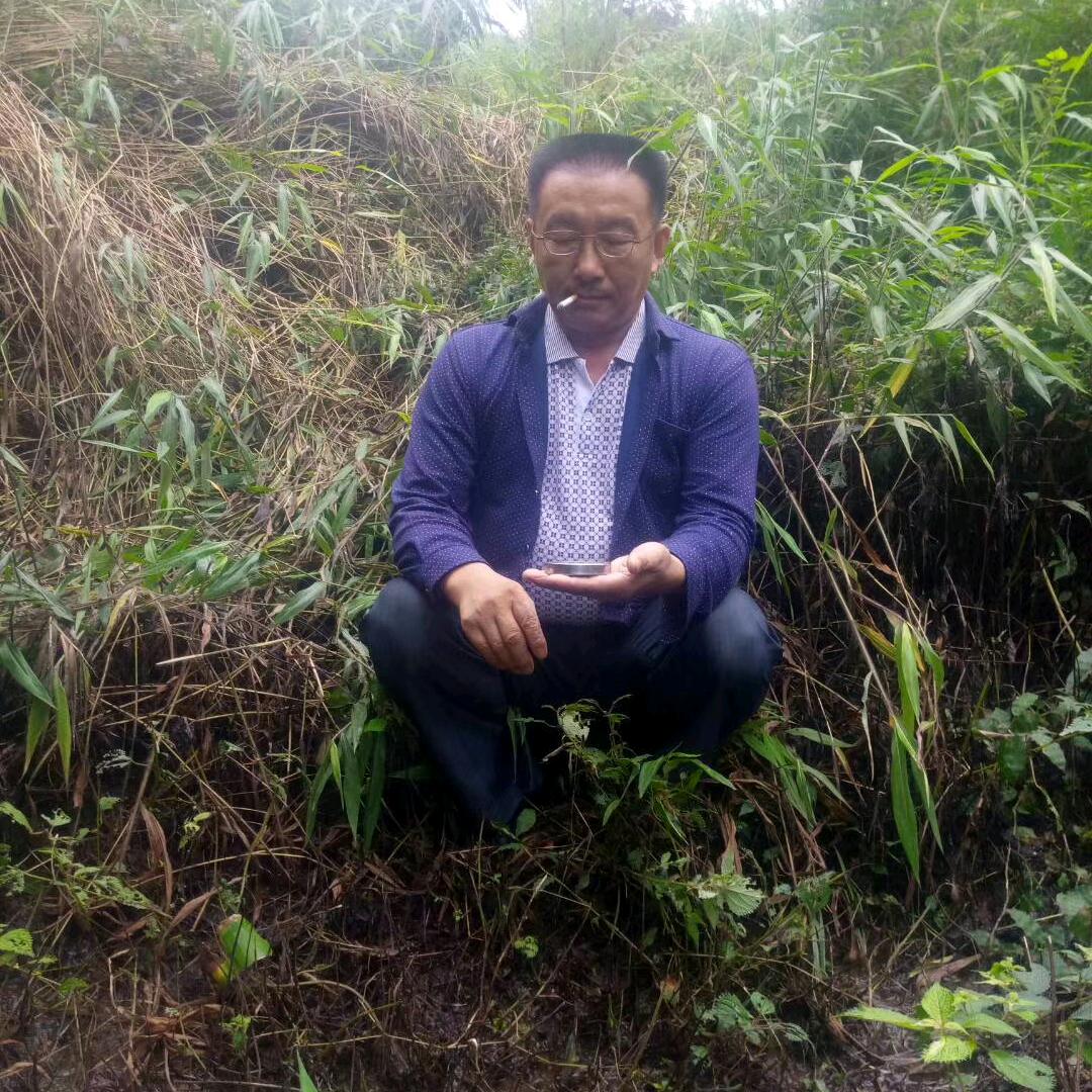 卧龙居士
