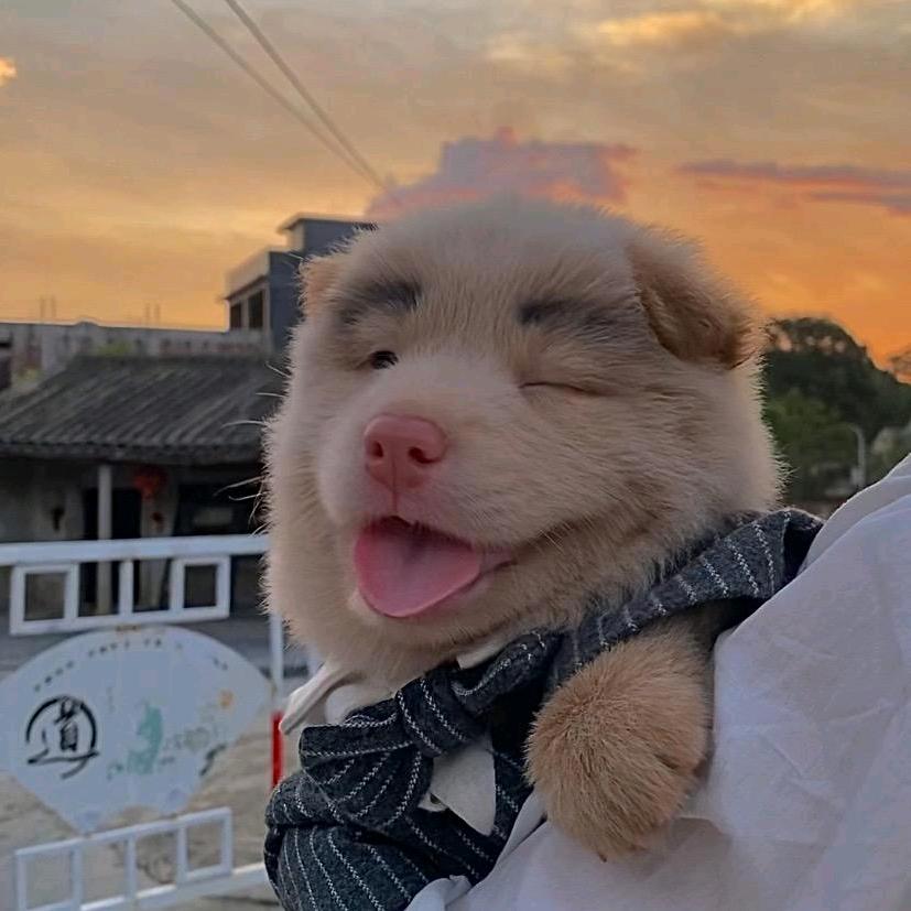 石瑶