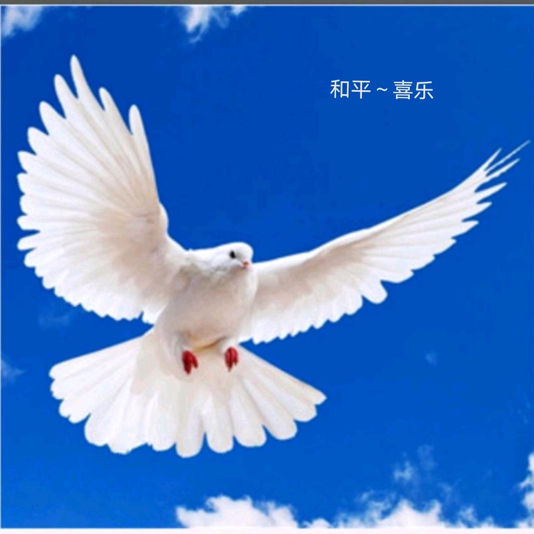 和平～喜乐