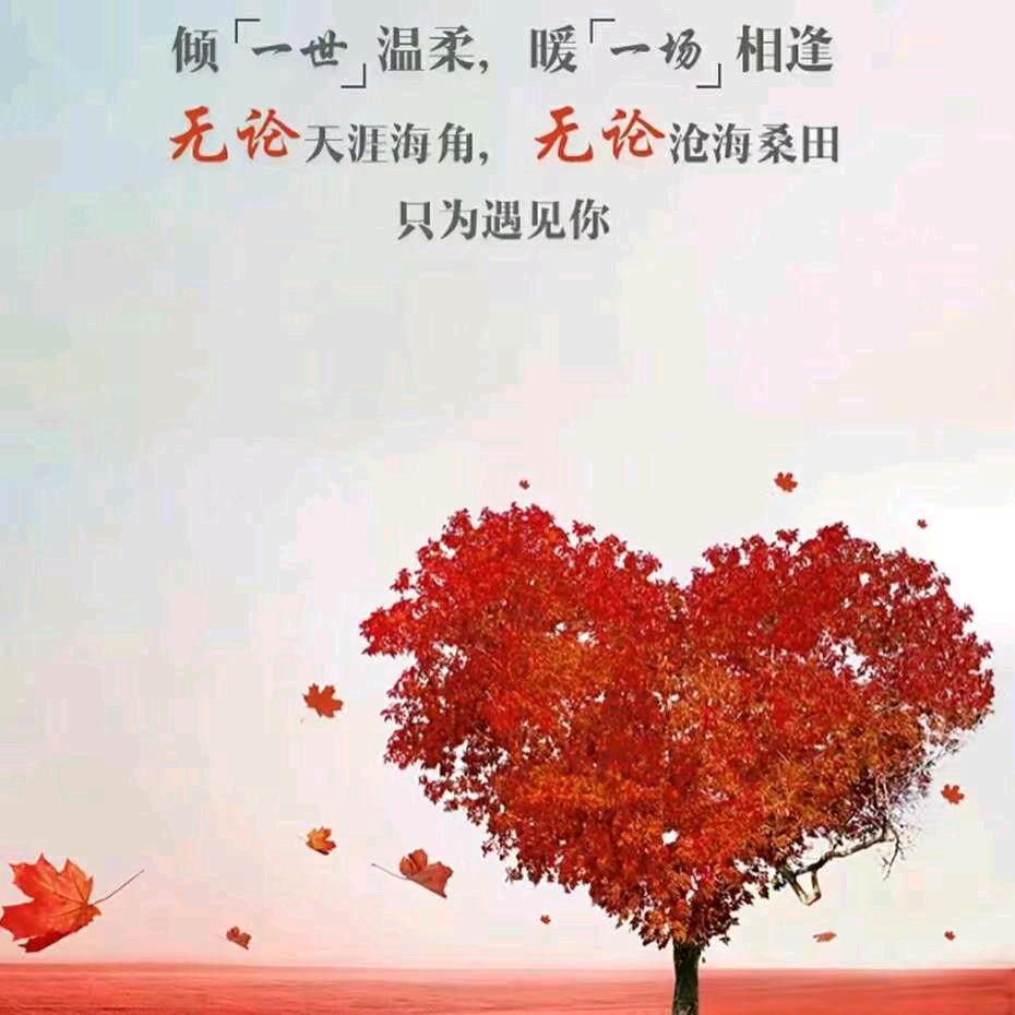 石头