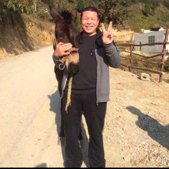 靓亮哥