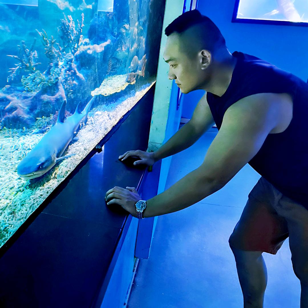 爱举铁的弓长 先 生