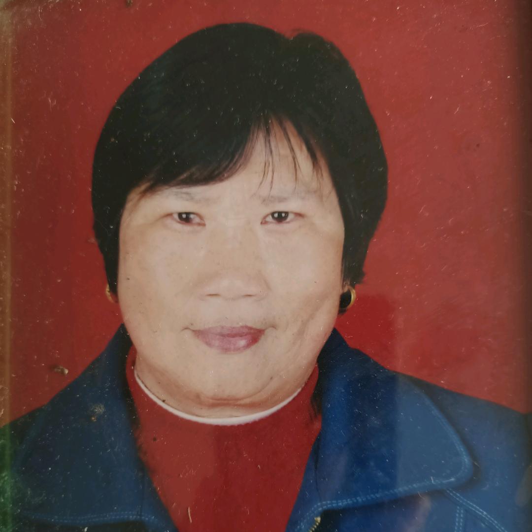 毕奶头像