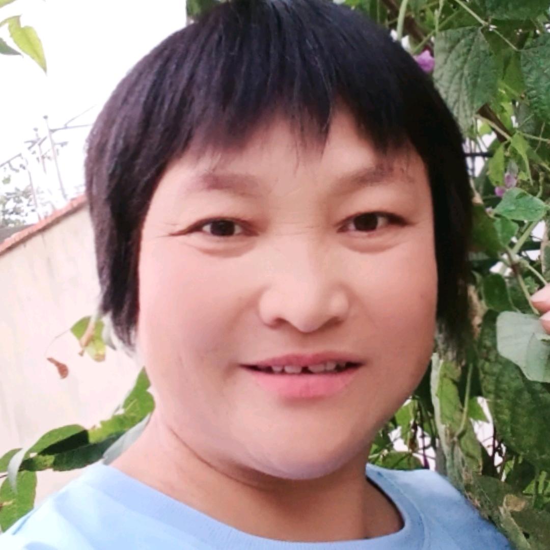 南大侠