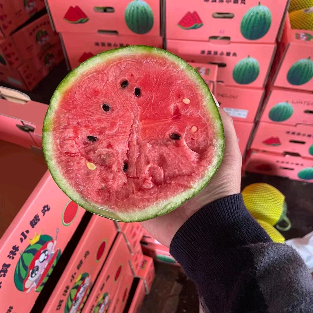 市场瓜果购销处