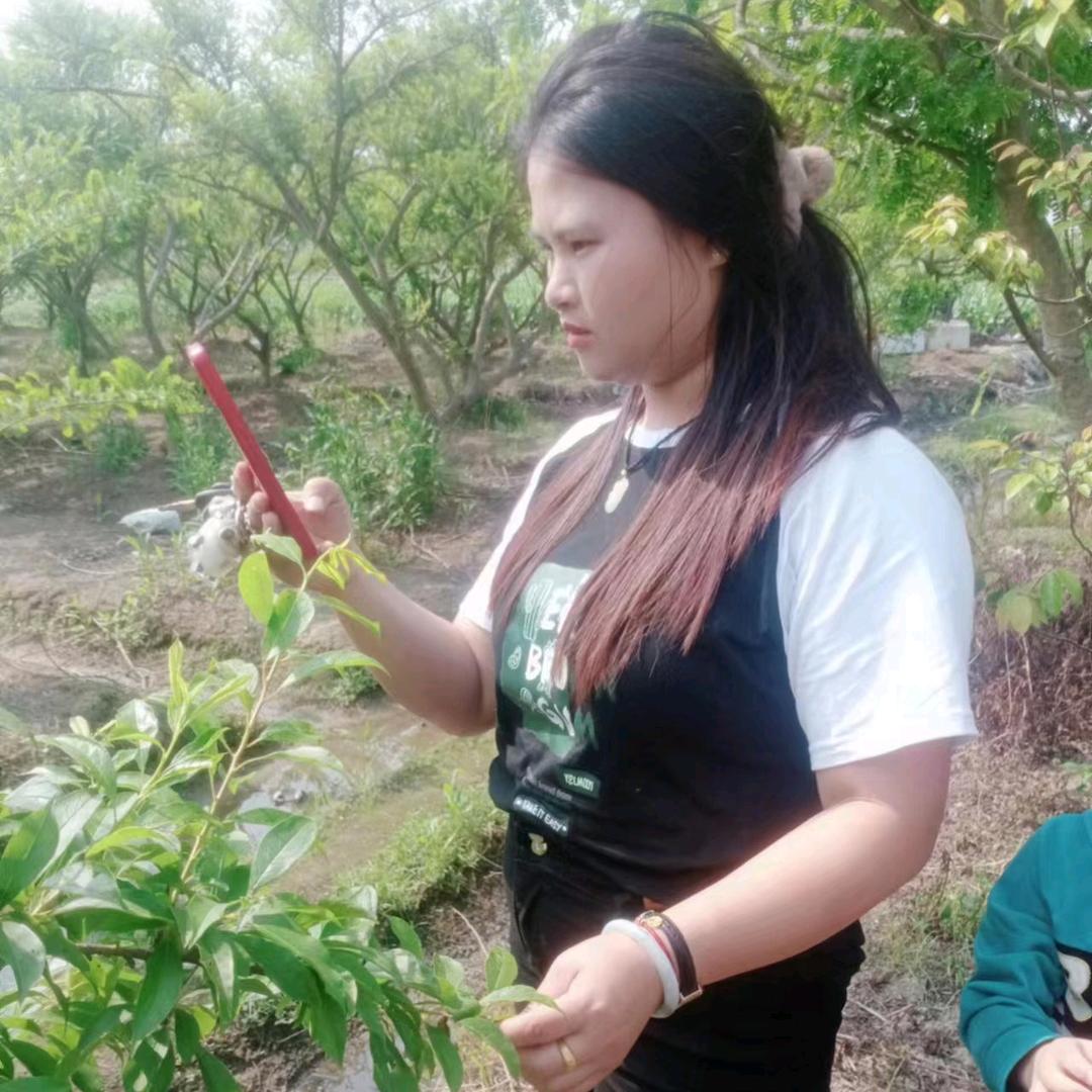 郑燕子(姐妹们橱窗有好物