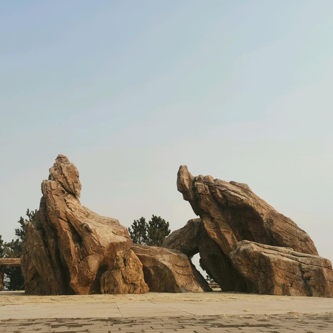 龙 行 天 下